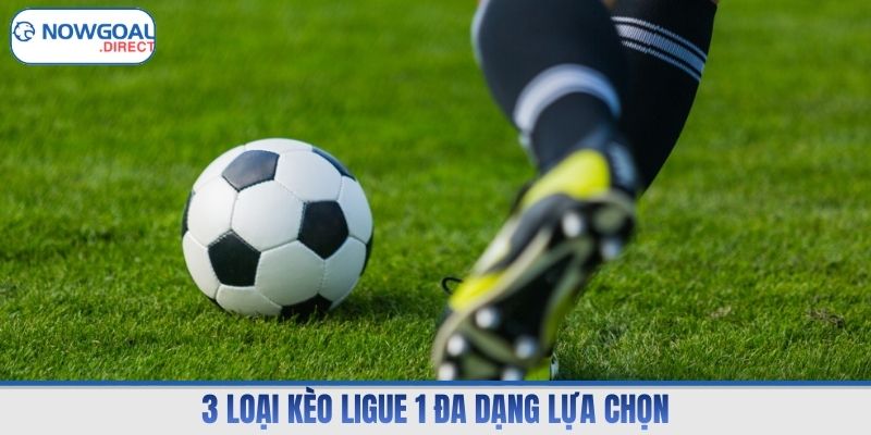 3 loại kèo Ligue 1 đa dạng lựa chọn